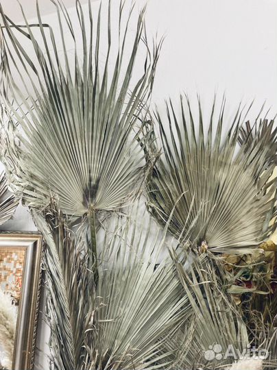 Листья пальмы