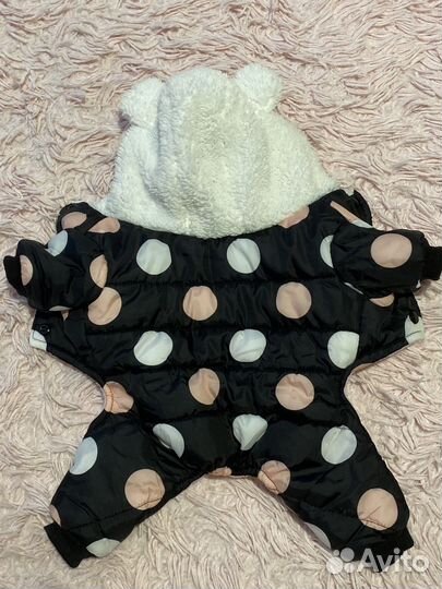 Куртка для собак мелких пород