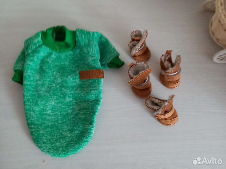 Вещи для маленькой собаки