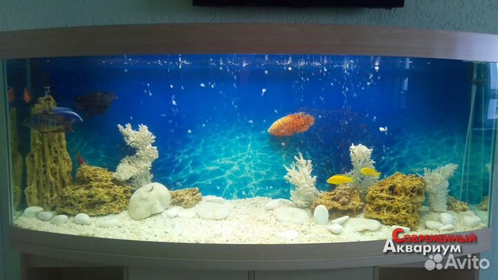 Обслуживание аквариумов