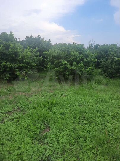 Участок 1 сот. (ИЖС)