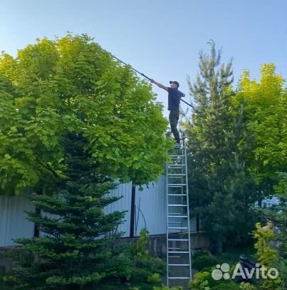 Садовник. Уход за садом. Озеленитель