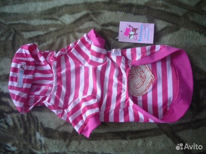 Одежда для собак