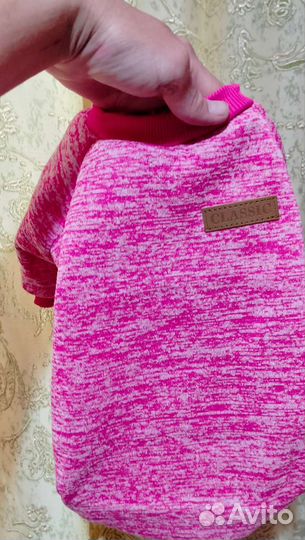 Переноска,Лоток, Одежда,Корм