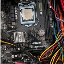 Материнская плата asrock b360m-hdv