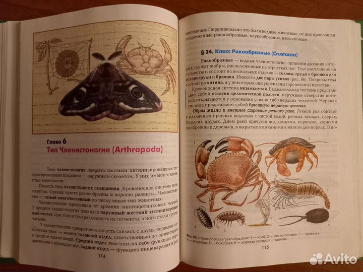 Учебник Биология 7 класс Животные Константинов