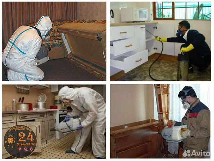 Уничтожение клопов, тараканов, клещей, грызунов