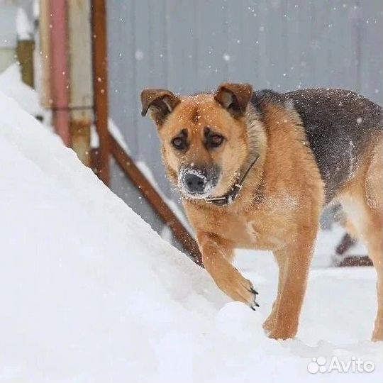 Этот пост надежды для нее последний