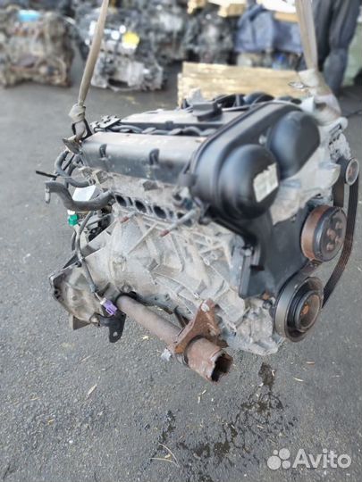 Двигатель ford fiesta 6, 1.2л 1.25л.snja snjb
