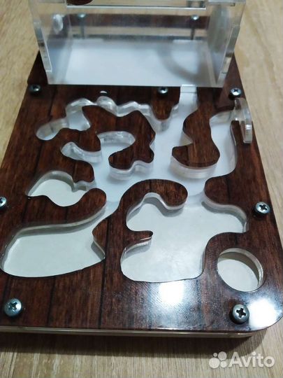 Формикарий для муравьев