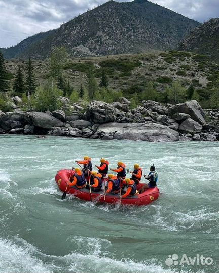 Тур на Алтай/Горный Алтай