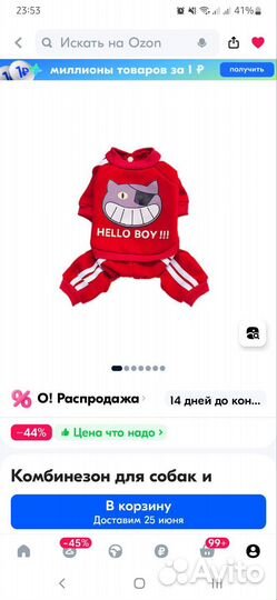 Одежда для средних собак