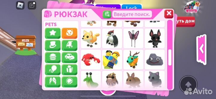 Петы из адопт ми