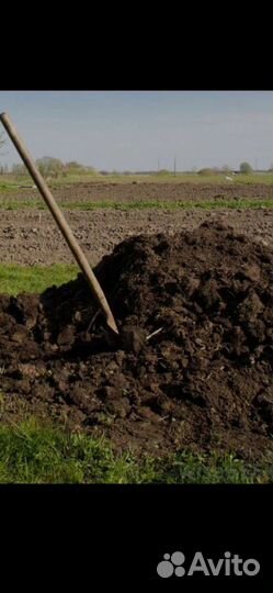 Дрова,Чернозем, торф. Навоз