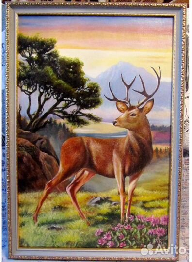 Благородный олень