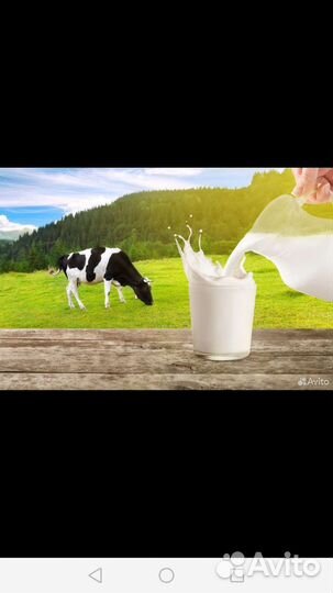 Молоко коровье домашнее