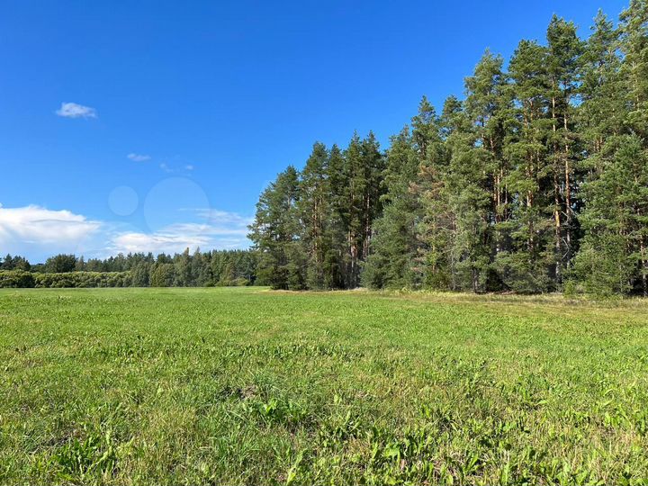 Участок 8 сот. (ИЖС)