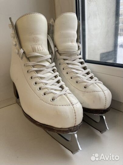 Фигурные коньки wifa