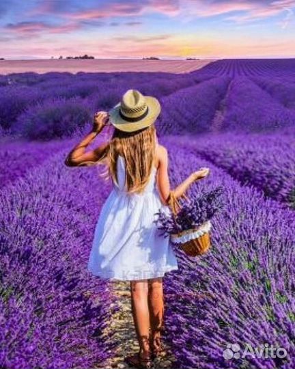 Картина по номерам 40x50 Девушка в шляпе в лавандо