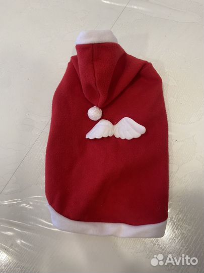 Одежда для йоркирского терьера