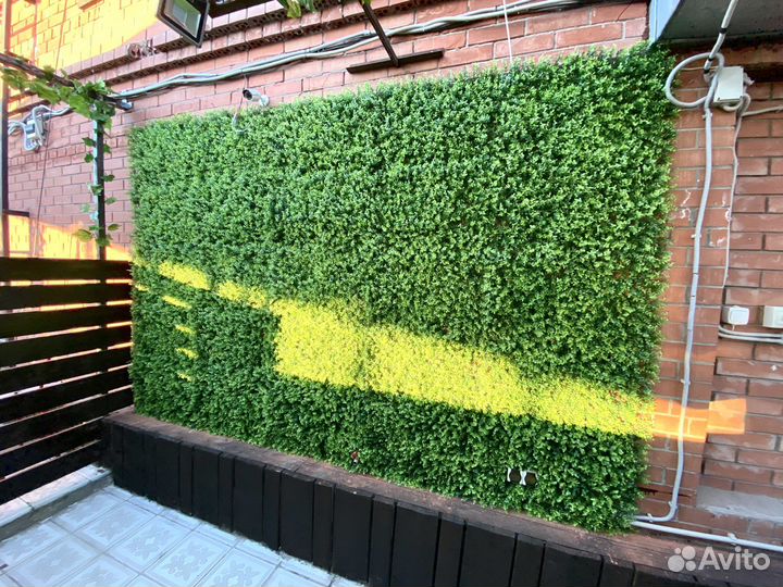 Озеленение вашего помещения под ключ