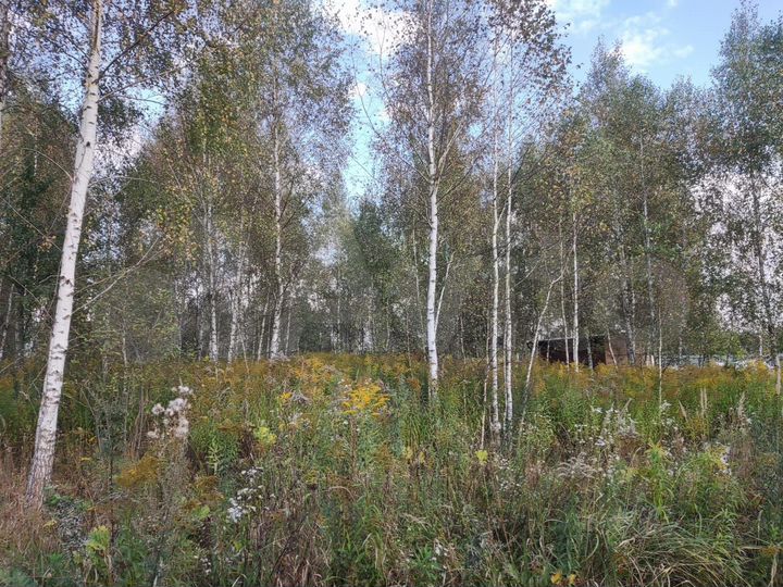 Участок 25,32 га (ИЖС)