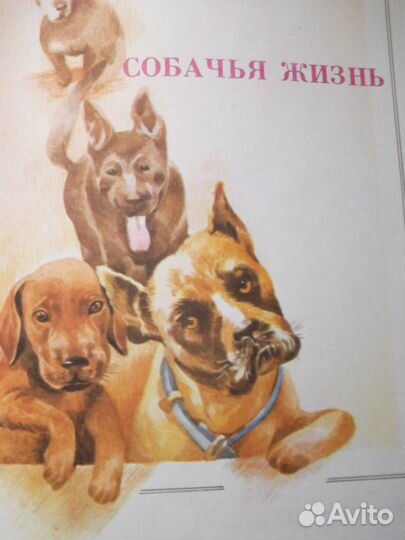 Детские книги Три толстяка и др