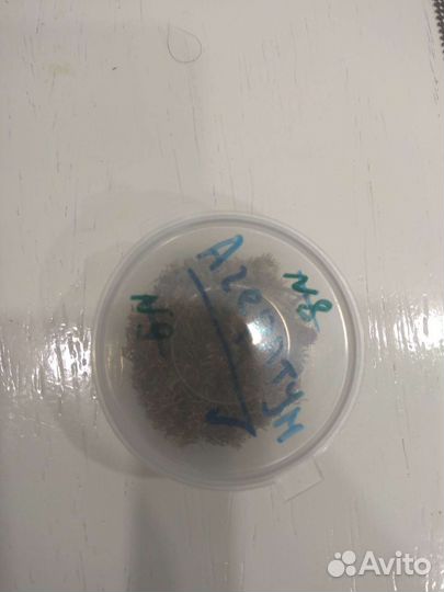 Семяна пакетом(щавель, цветы)