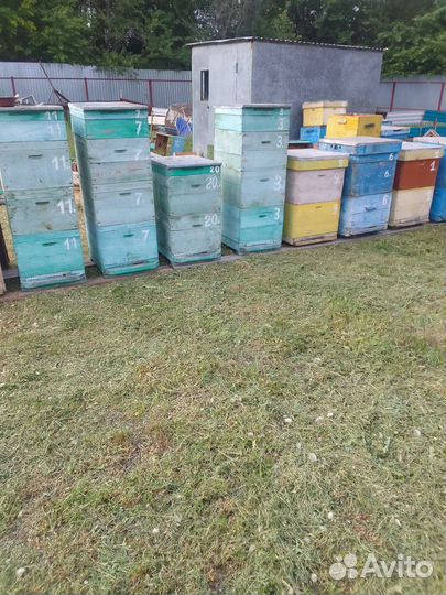 Ульи бу дадан