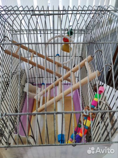 Клетка для волнистого попугая большая