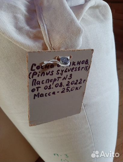 Семена ели обыкновенной