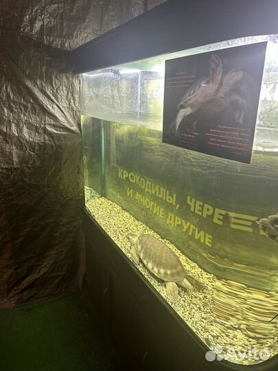 Аквариум 390 литров