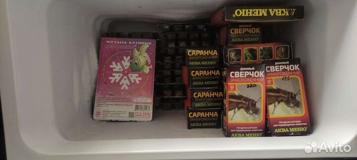 Замороженые корма-мотыль,сверчок,креветка