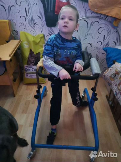 Ходунки - вертикализатор