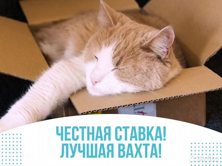 Вахта 30,45,60 Жильё Водитель штабелера