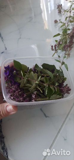 Травяной чай с Алтая