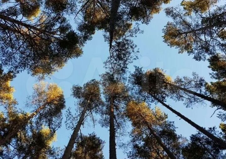 Участок 75 га (ИЖС)