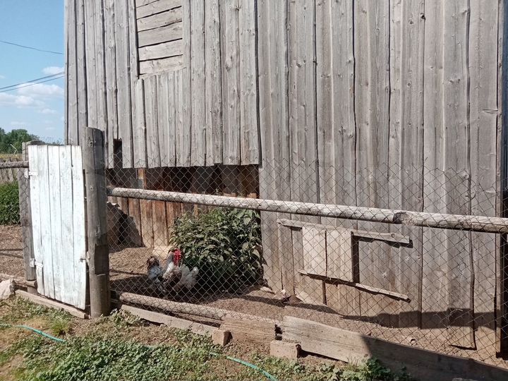 Дом 46 м² на участке 40 сот.