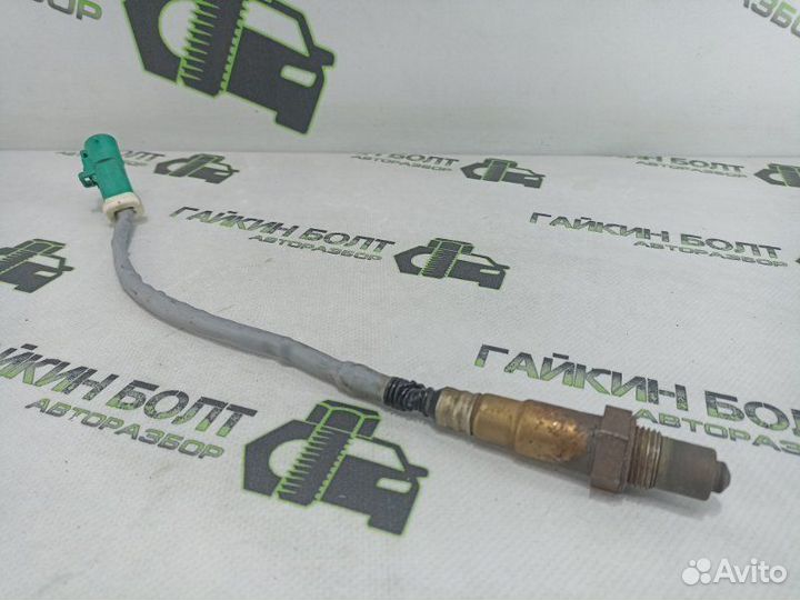 Датчик кислородный Ford Focus хэтчбек 5дв shda