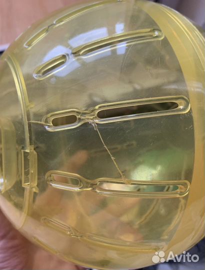 Для грызунов