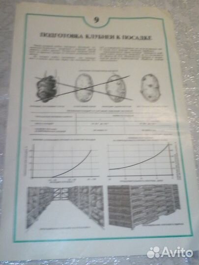 Плакаты