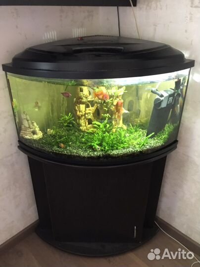 Аквариум с тумбой бу 110 литров