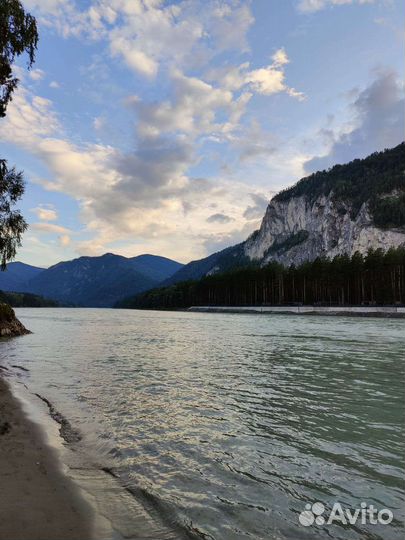 Пассажирские перевозки