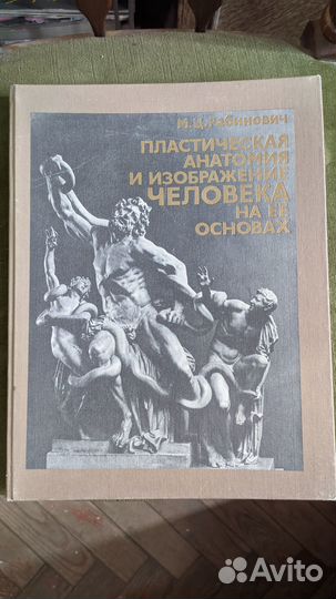 Пластическая анатомия и изображение человека