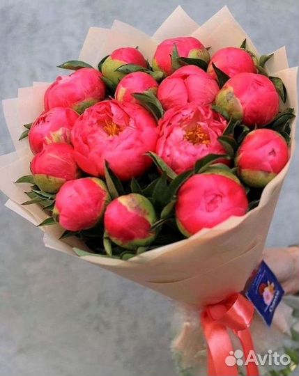 Пионы Цветы Доставка