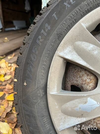 Matador MP 30 Sibir Ice 2 175/65 R14