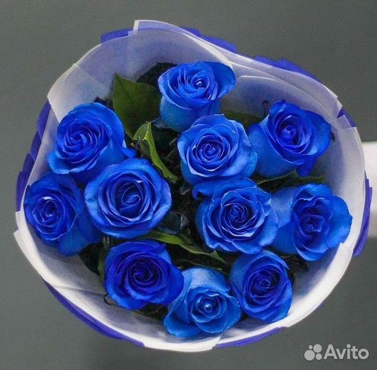 Синие розы Цветы Доставка