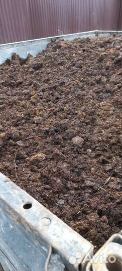 Навоз конский