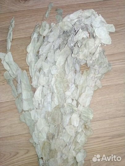 Веники банные дуб берёза эвкалипт полынь травы