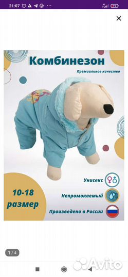 Комбинезон и свитер для собак